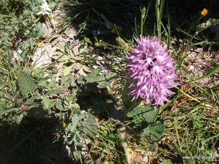 ntagna di Ramacca-23-04-2022 13-02-57